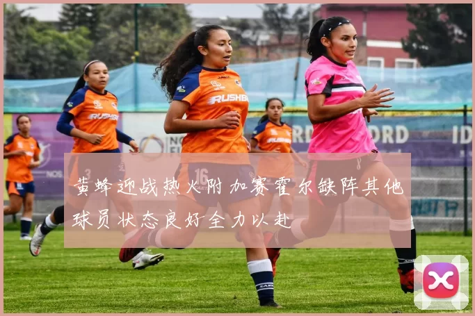 黄蜂迎战热火附加赛霍尔缺阵其他球员状态良好全力以赴