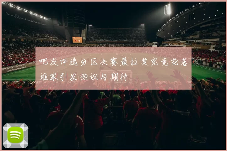 吧友评选分区决赛最拉奖究竟花落谁家引发热议与期待